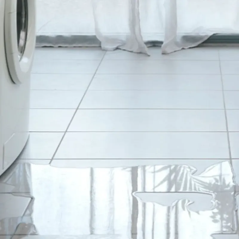 Appliance Leak Cleanup in West Alexandria, OH