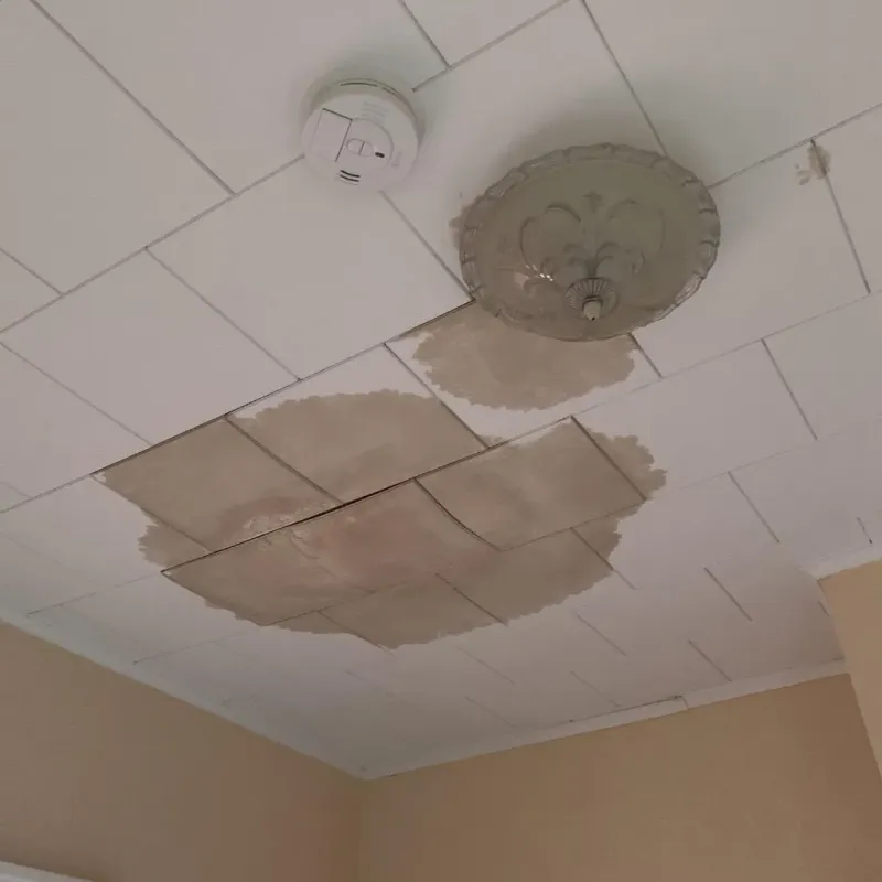 Ceiling Water Damage Repair in West Alexandria, OH