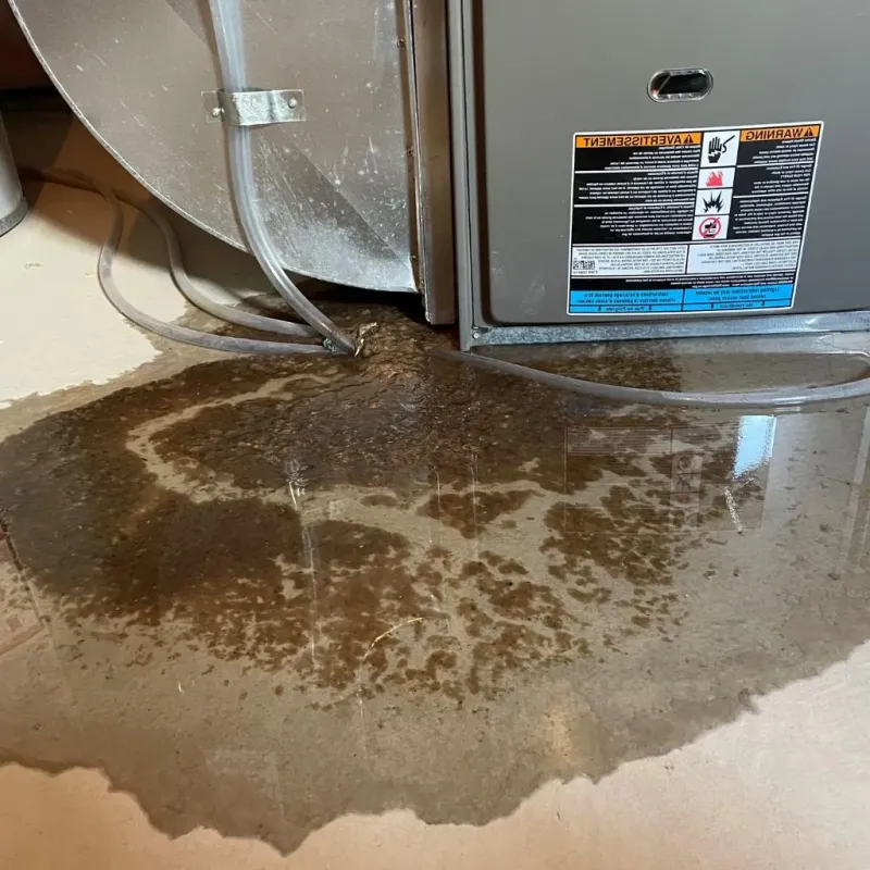 Pipe Burst and Leak Restoration in West Alexandria, OH