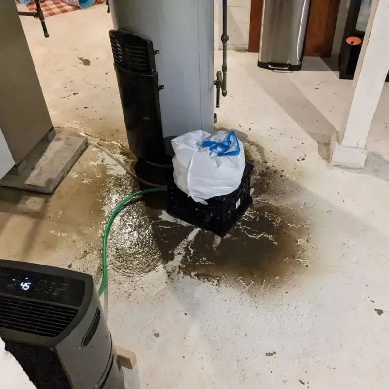 Sewage Backup Cleanup Service in West Alexandria, OH